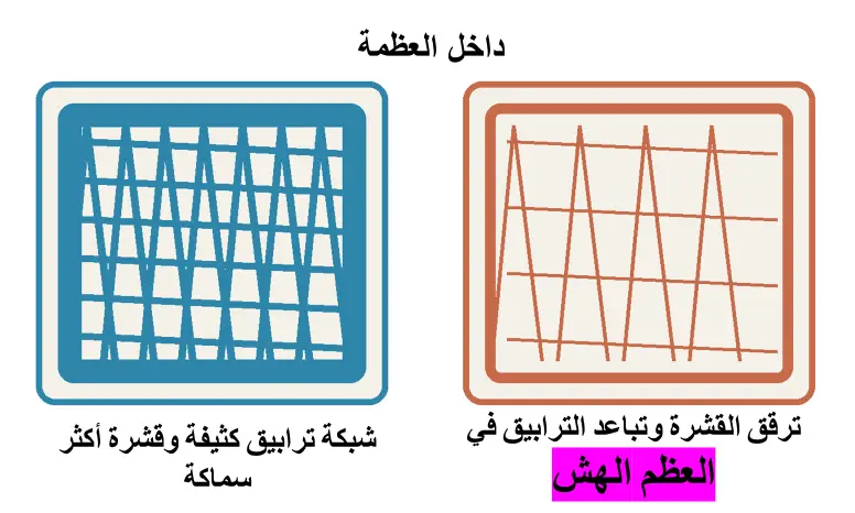 رسم بياني الكتلة العظمية مع العمر